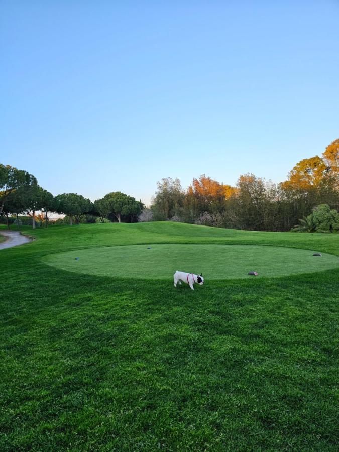וילהמורה Citadela I, Golfe, Pool And Falesia Beach מראה חיצוני תמונה